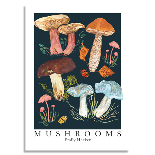 Mushroom Art Print