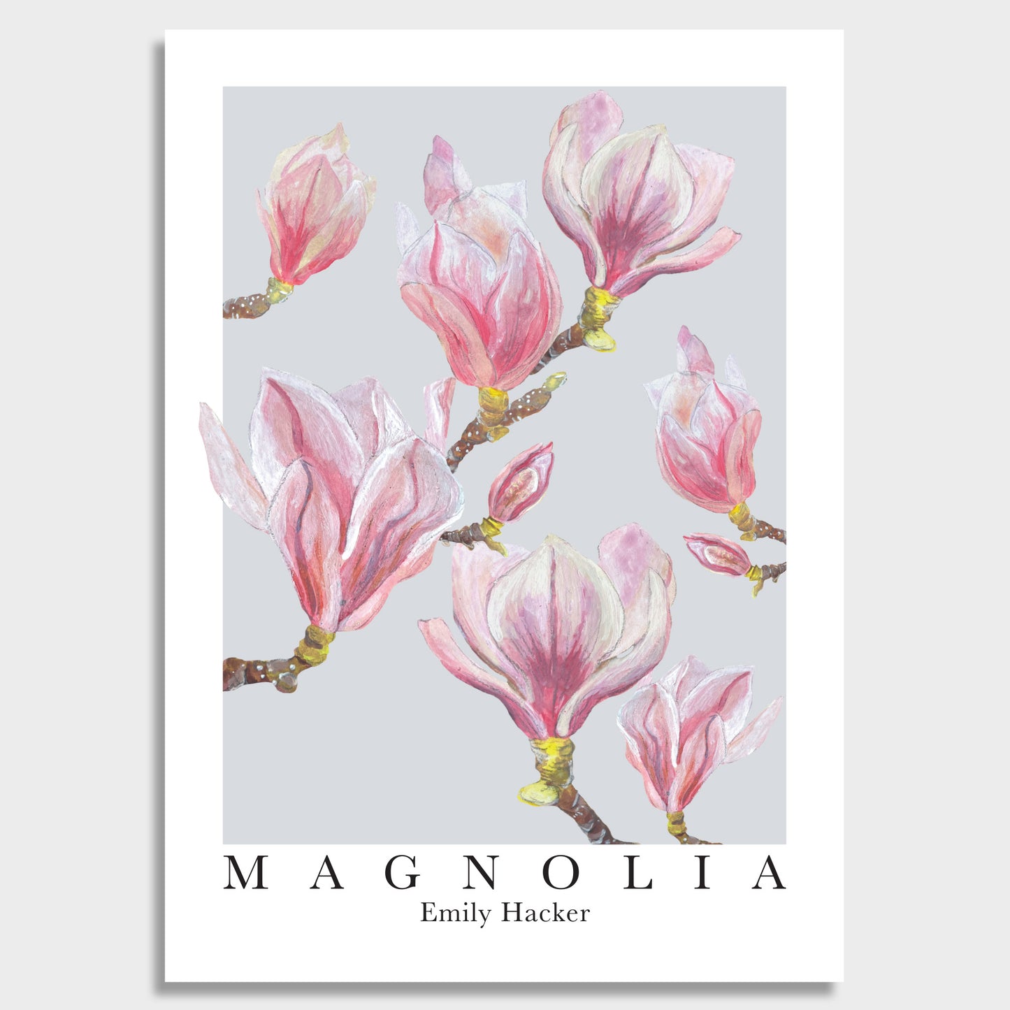 Magnolia Bud and Bloom Art Print
