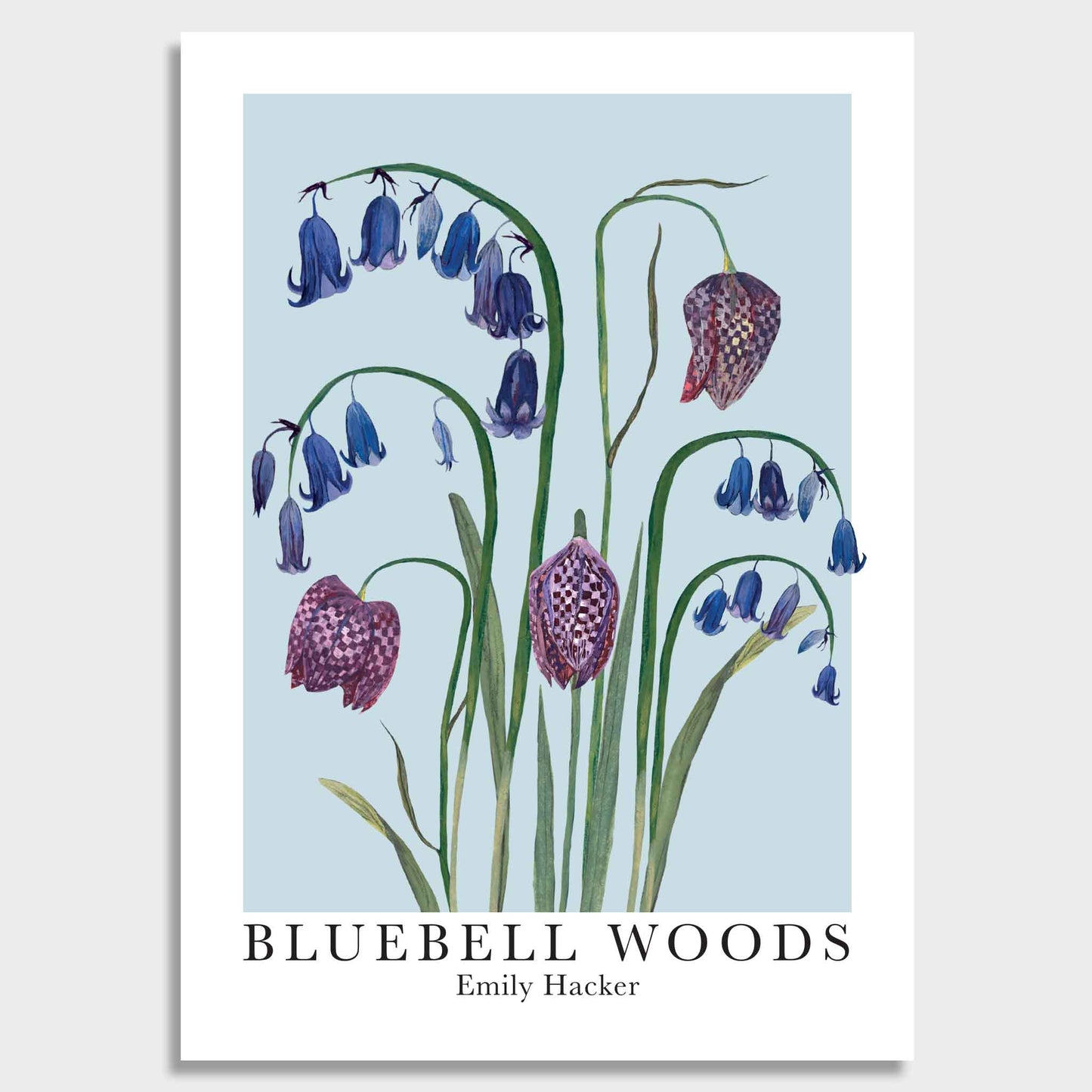 Bluebell Woods Botanical Art Print | Native Wildflower Wall Art