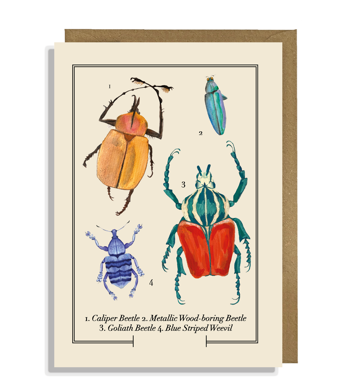 Insect Greeting Card
