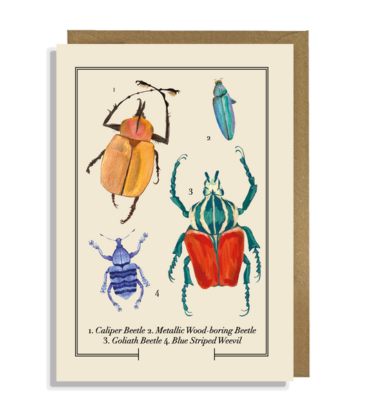 Insect Greeting Card