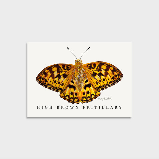 A6 mini art print endangered British orange and black butterfly. There is a title ‘high brown fritillary’ with the artists signature on a cream background