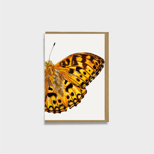 A rare yellow butterfly card featuring a high brown fritillary butterfly illustration on an off-white background, with a brown envelope, shown against a light gray backdrop.