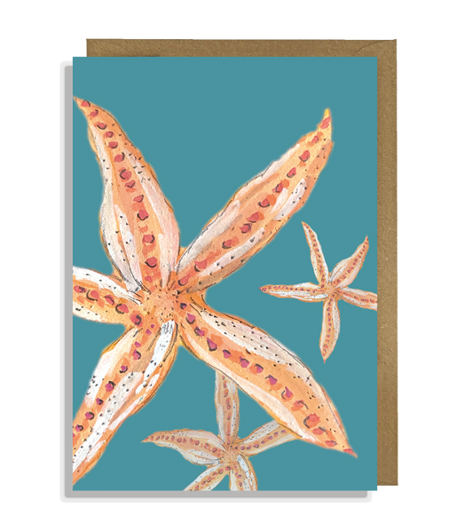 Starfish Greeting Card