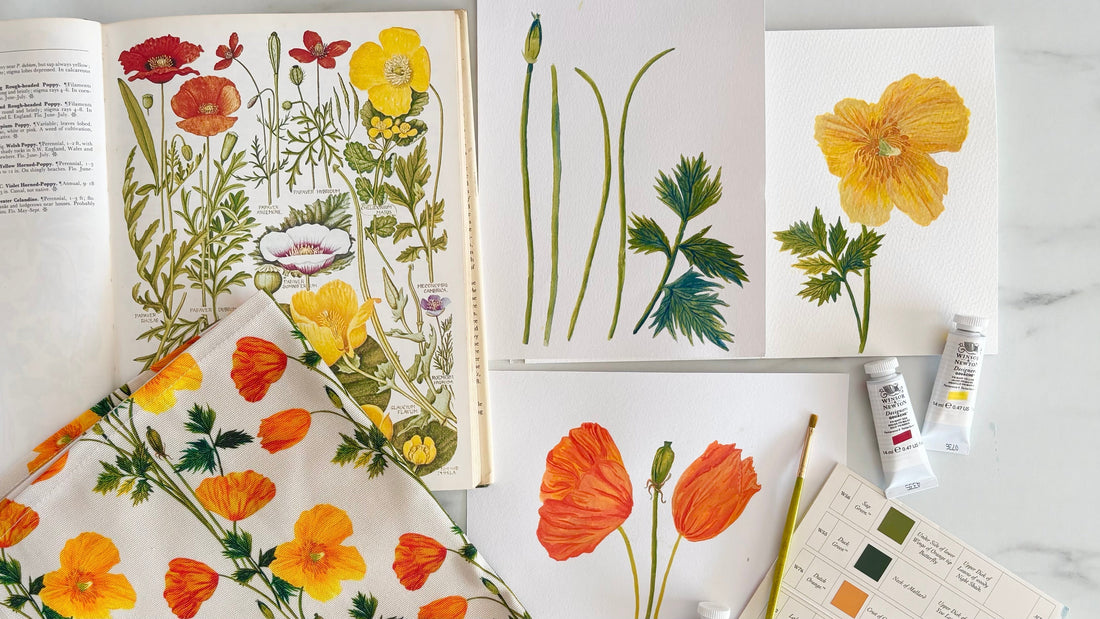 The Welsh Poppy: A Wildflower Worth Celebrating