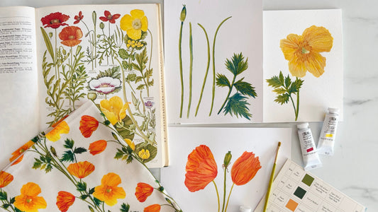 The Welsh Poppy: A Wildflower Worth Celebrating
