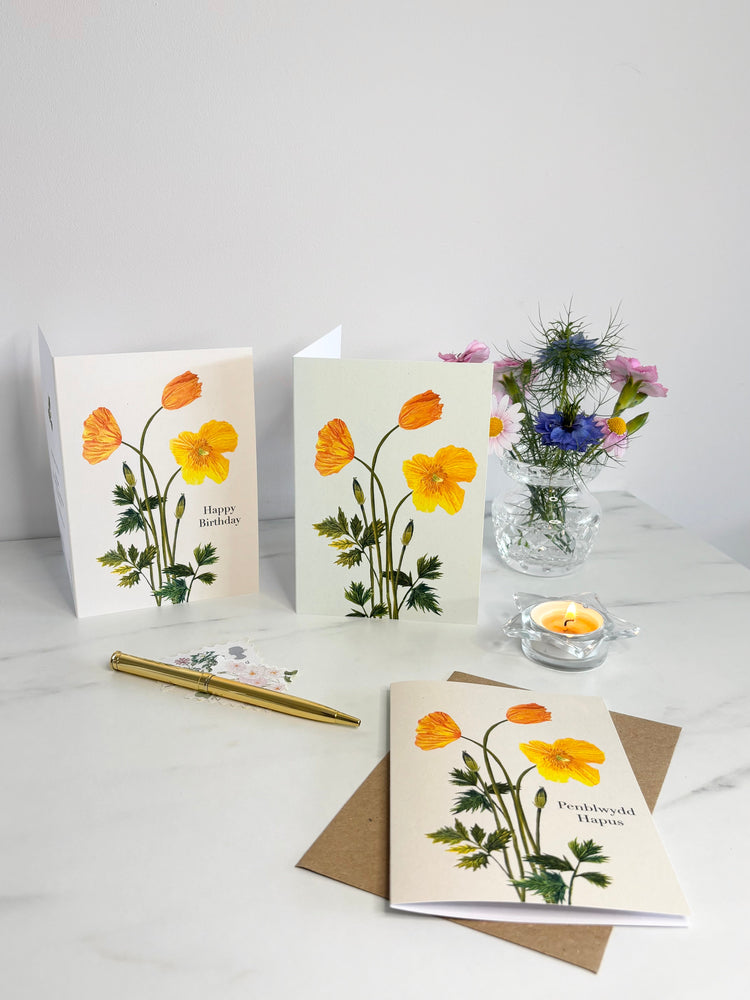 Welsh poppy Hand illustrated greeting cards