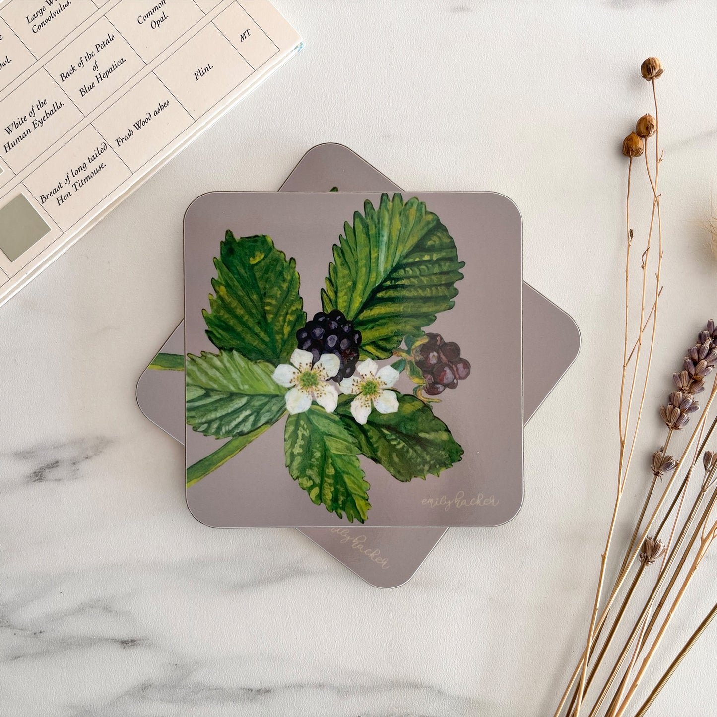 Autumn Blackberry hand illustrated coaster on a marble background 