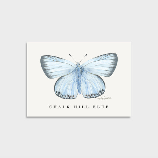 A British butterfly a6 art print featuring a watercolor illustration of a pale blue butterfly with the text 'CHALK HILL BLUE' below it, arranged on a light gray background.