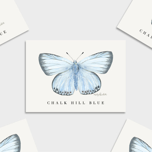 A British butterfly a6 art print featuring a watercolor illustration of a pale blue butterfly with the text 'CHALK HILL BLUE' below it, arranged on a light gray background.