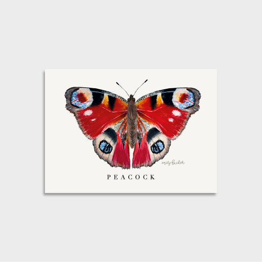 A British butterfly art print featuring a detailed illustration of a peacock butterfly with red, orange, black, blue, and white wing patterns, centered on a light gray background with partial matching prints around the edges