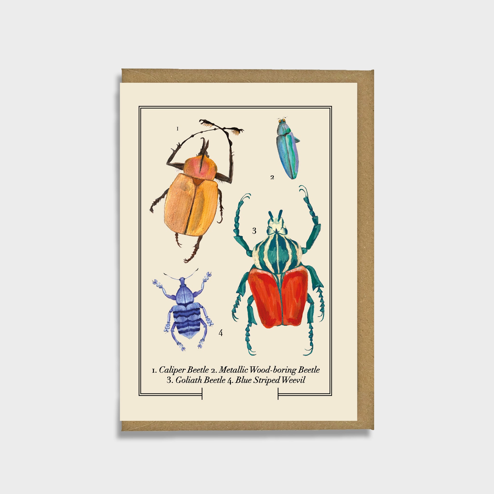 Insect Greeting Card – Emily Hacker