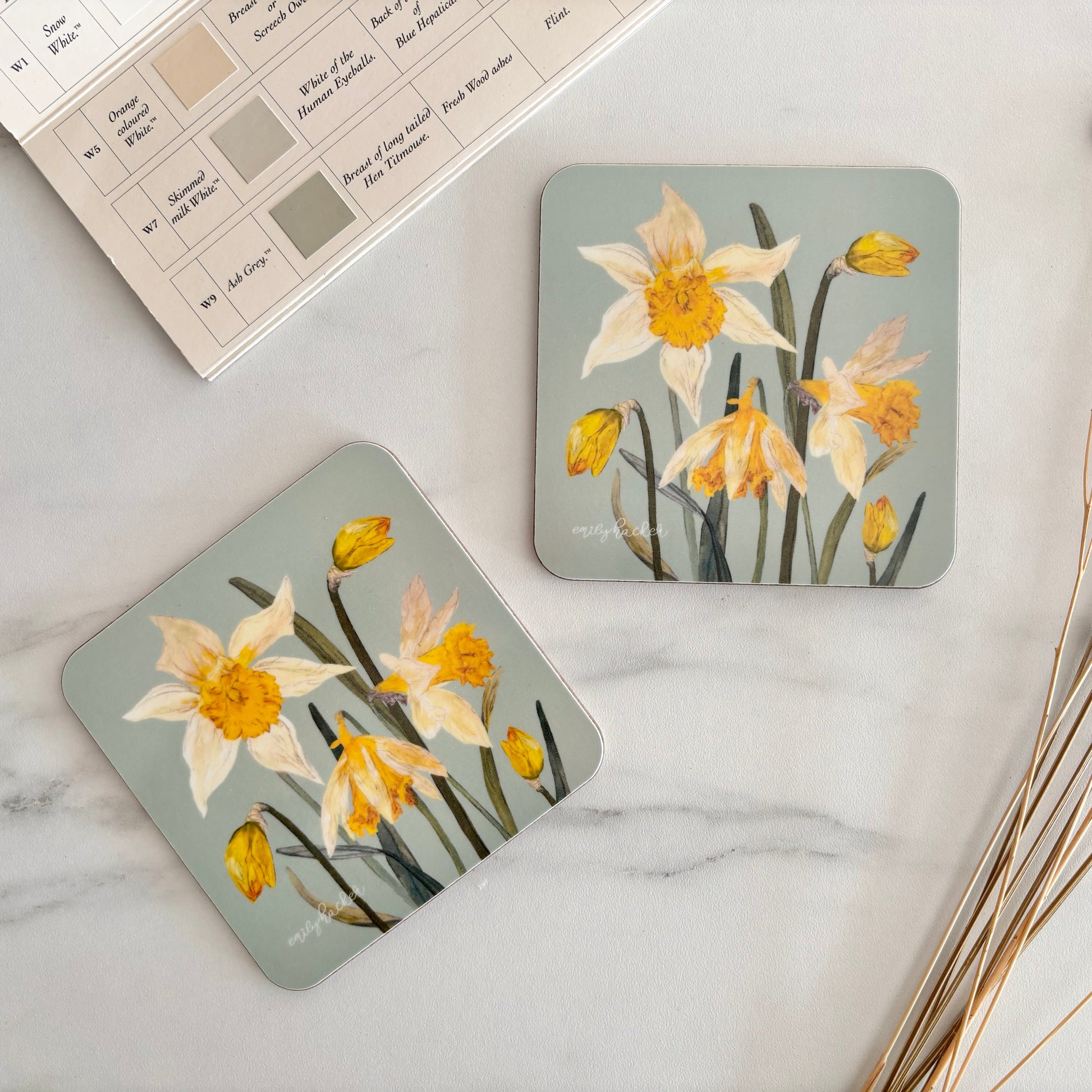 Two floral coasters with daffodils on a marble surface with dried plants.