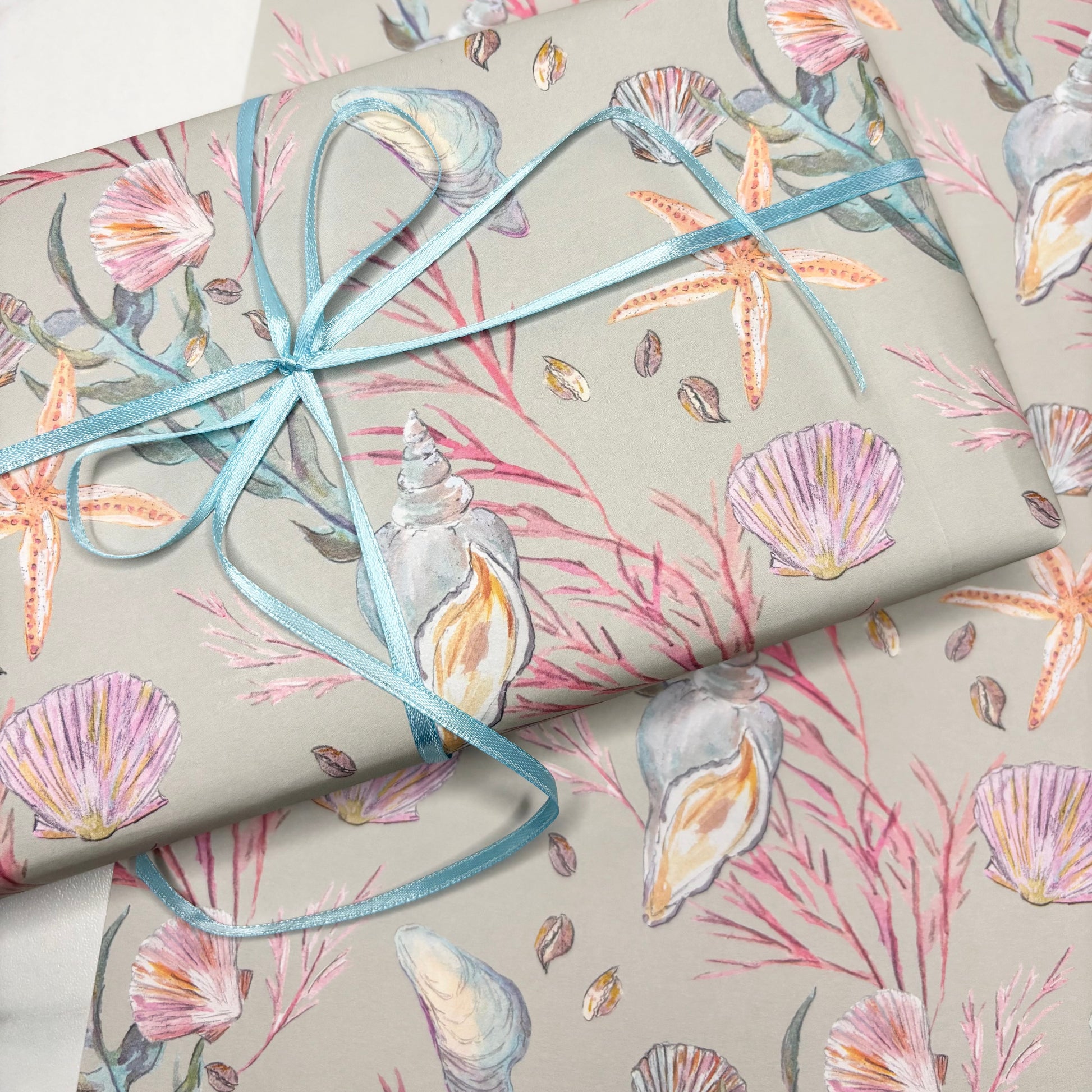 Hand illustrated Seashell patterned paper with a blue ribbon on a white surface