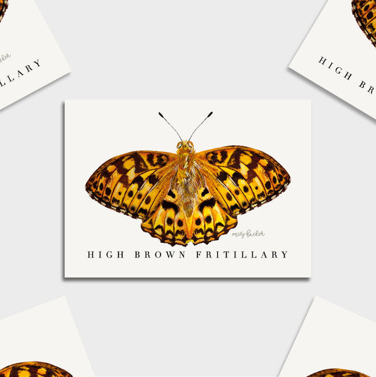 Mini wall art print featuring red list British orange butterfly. There is a title ‘high brown fritillary’ with the artists signature on a cream background 