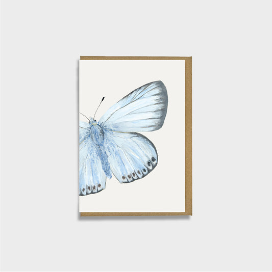 A small blue butterfly card featuring a chalk hill blue butterfly illustration on an off-white background, with a  brown envelope, shown against a light gray backdrop.