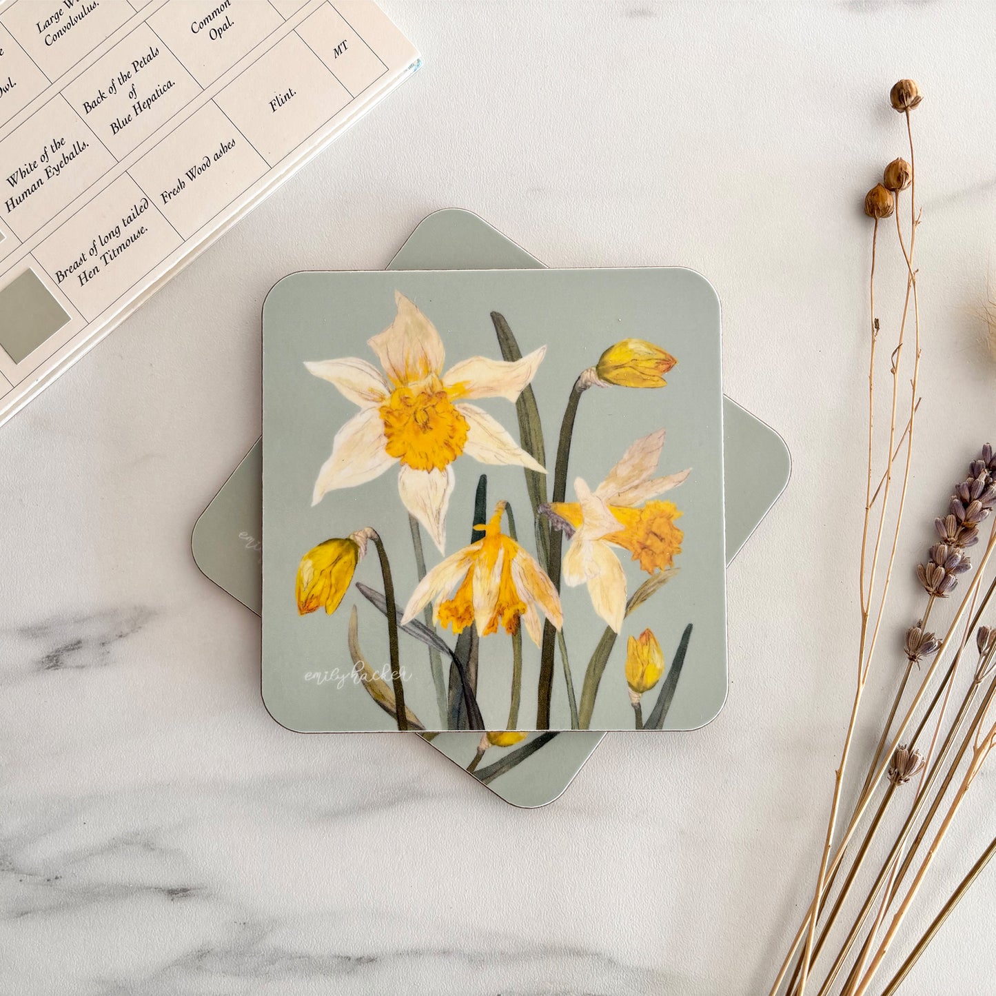 Hand illustrated Coaster with daffodil design on a marble surface with dried plants.