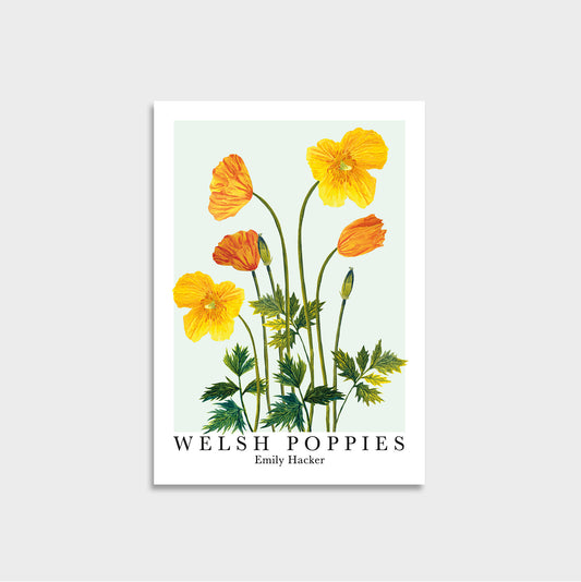 Mini art print featuring hand illustrated orange Welsh poppy illustrations on a blue background with poster style white border with ‘Welsh poppy’ title with ‘Emily hacker underneath