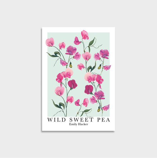 Hand illustrated pink sweet pea artwork in a poster style print with title ‘wild sweet peas Emily Hacker’ 