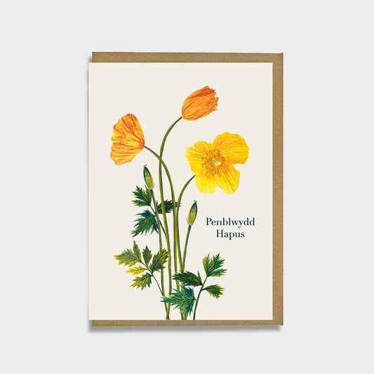 Welsh floral Greeting card with yellow Welsh poppy flowers and text that says penblwydd hapus on a beige background