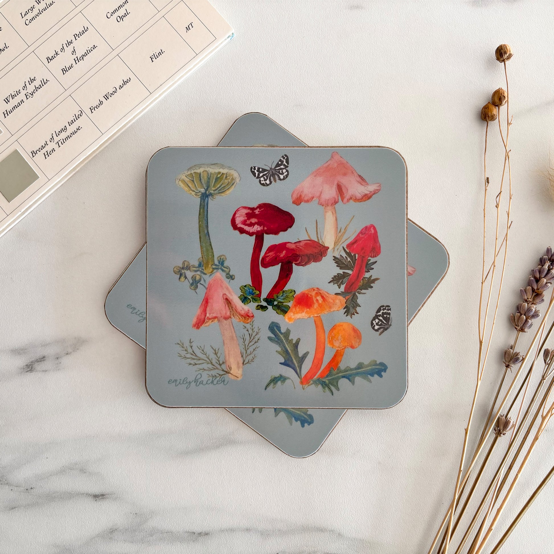 Waxcap mushroom themed hand illustrated coasters on a marble surface with dried plants.