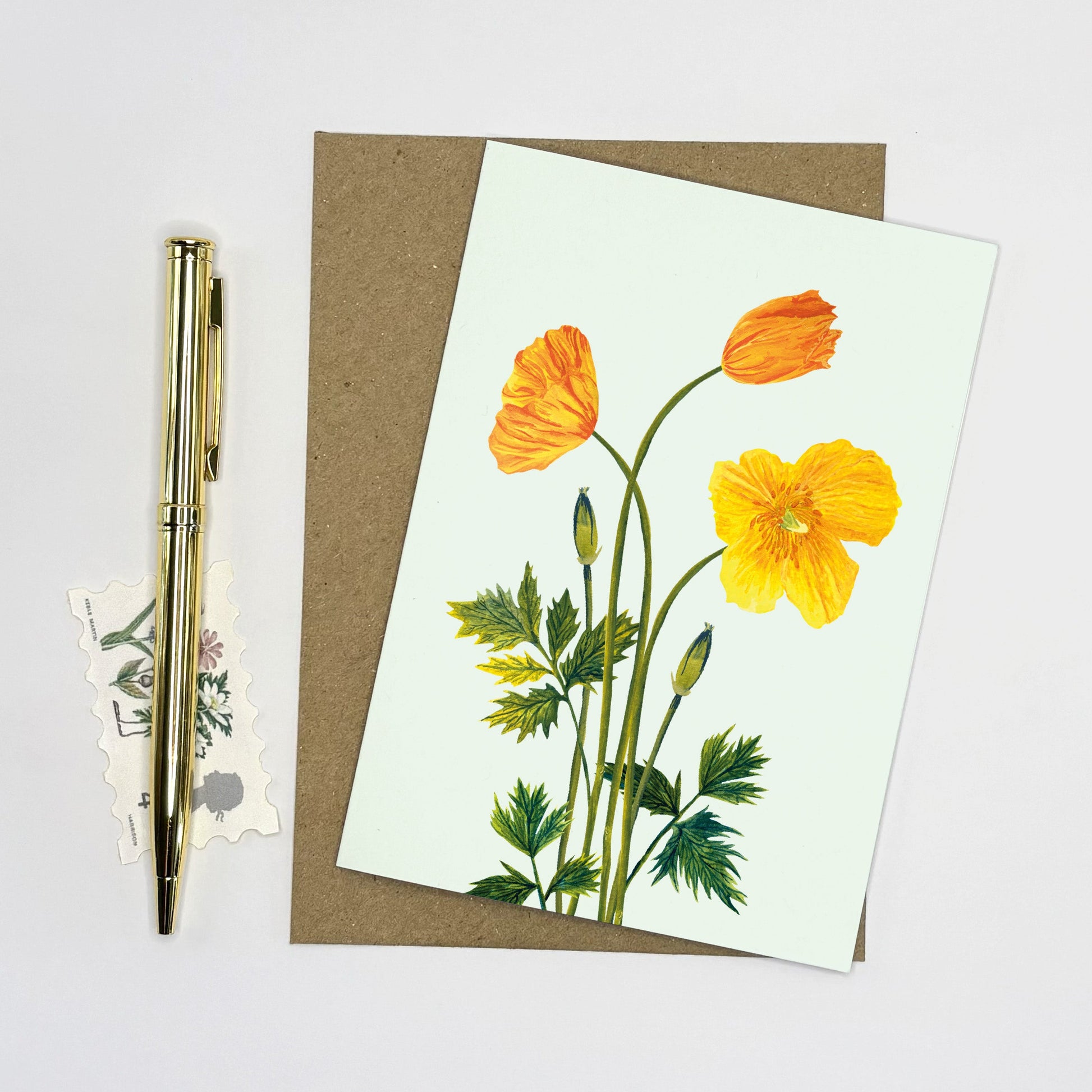 Native wildflower hand illustrated greeting  card with yellow Welsh poppy flower illustrations on a white background