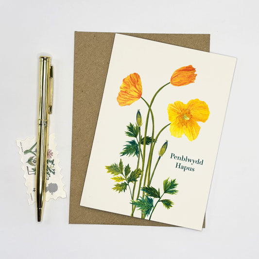 Hand illustrated Wildflower Greeting card with yellow Welsh poppy flowers and pen on a white background