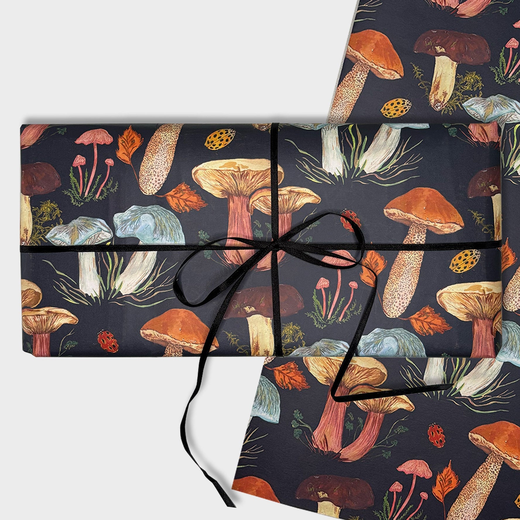 Woodland mushroom gift wrap in hand illustrated mushroom and fungi patterned paper on a white background