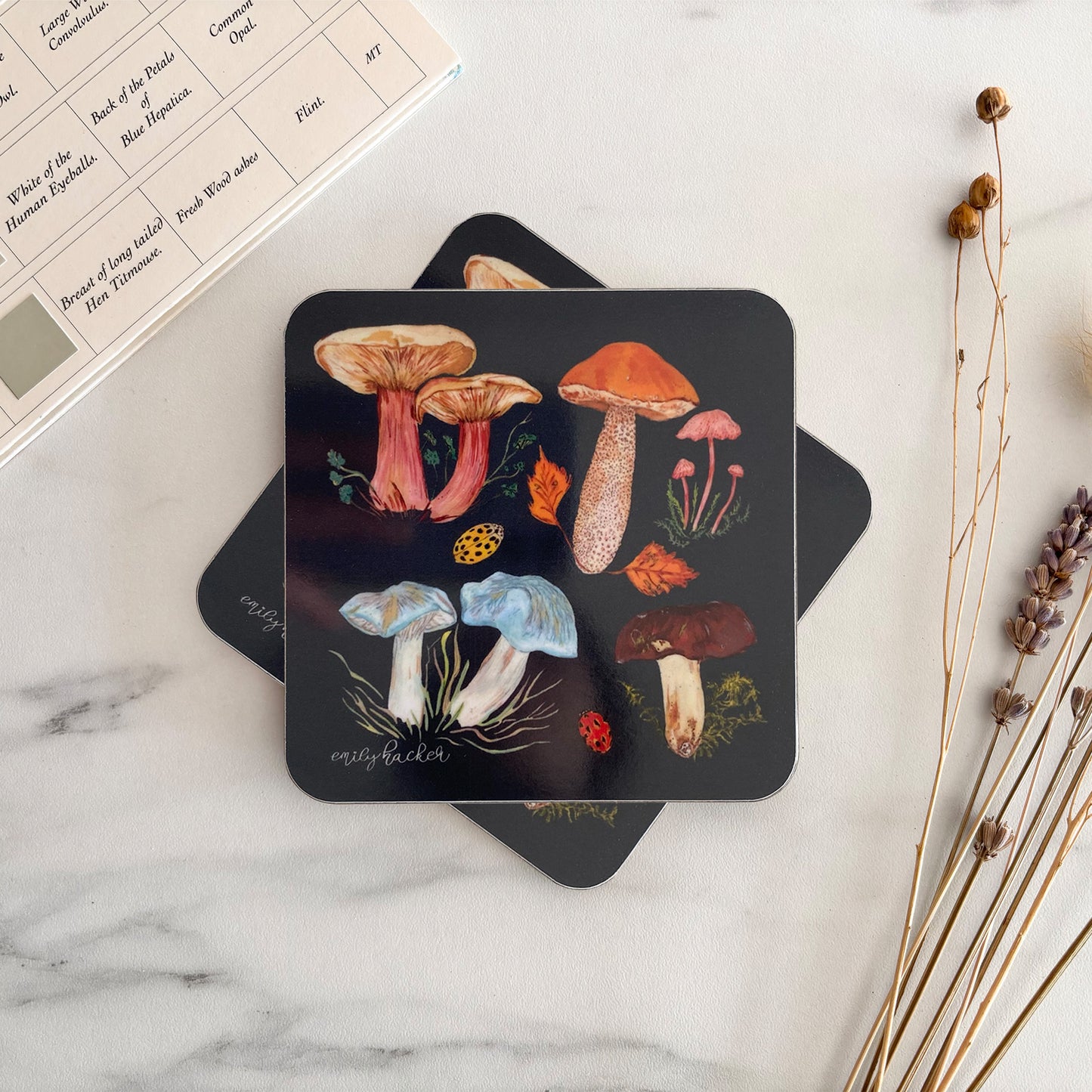 Mushroom Coaster with colorful hand illustrated mushroom illustrations on a marble surface.